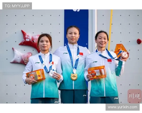 南京攀岩队引领潮流最新攀岩配合TOP10榜单揭晓