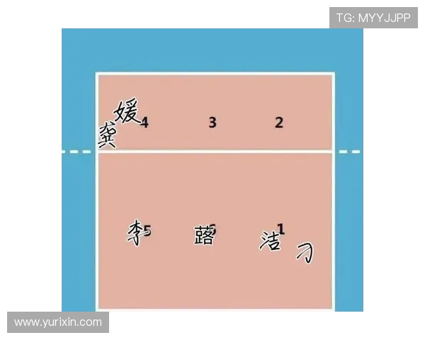 武汉排球队进攻战术深度解析与实战应用探讨